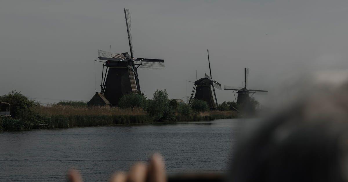 Advanced Writing Skills: Crafting Essays and Reports in Dutch