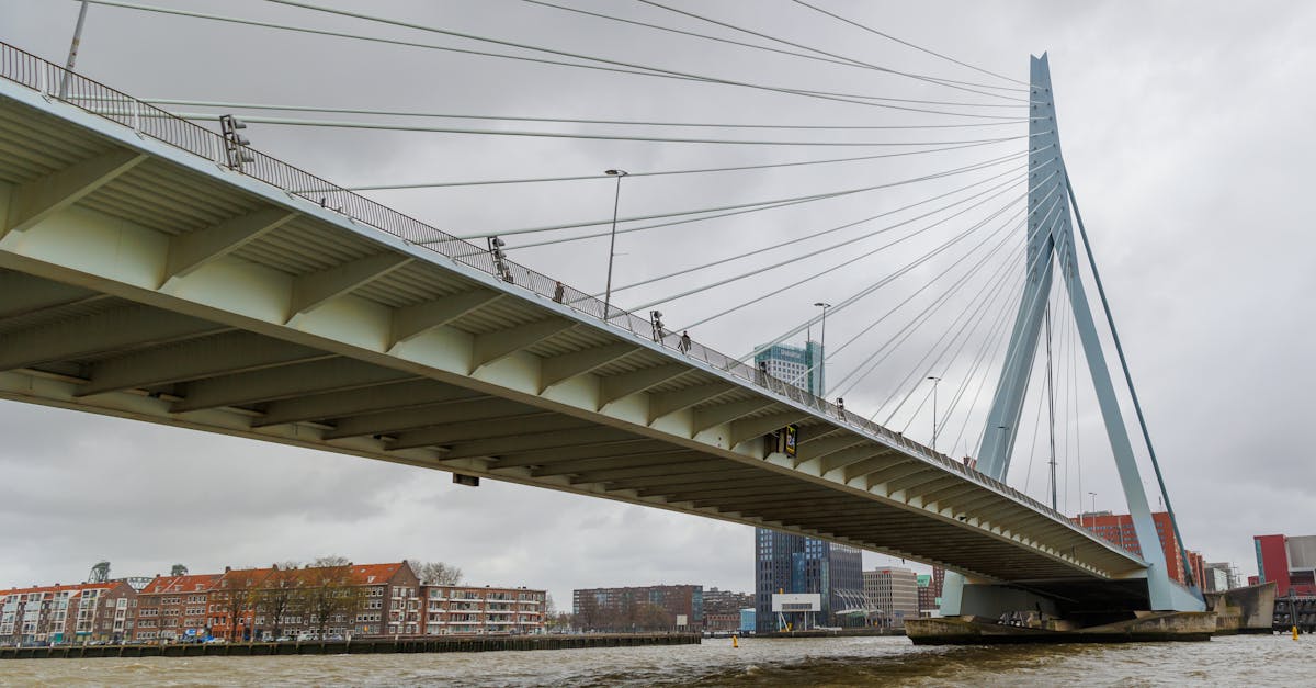 Common Mistakes to Avoid as a New Dutch Learner