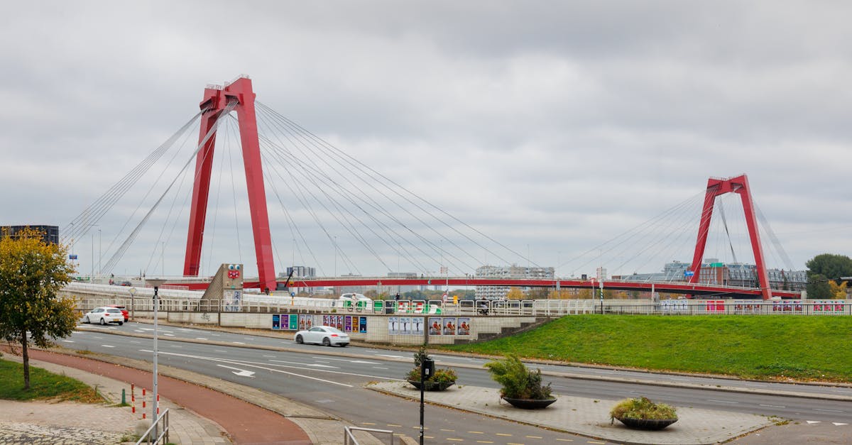 Comparing Popular Dutch Language Tools for Effective Learning