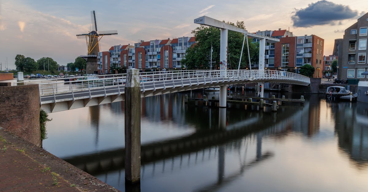 Comprehensive Review of Dutch Learning Platforms for Beginners