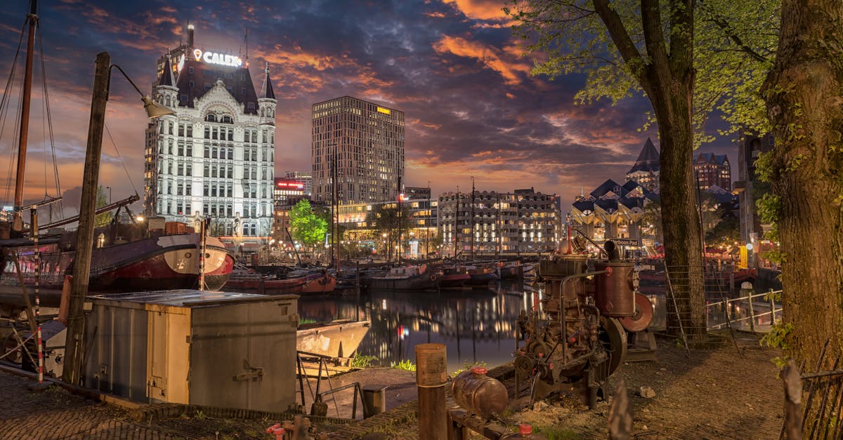 Creating a Structured Online Dutch Language Exchange Program