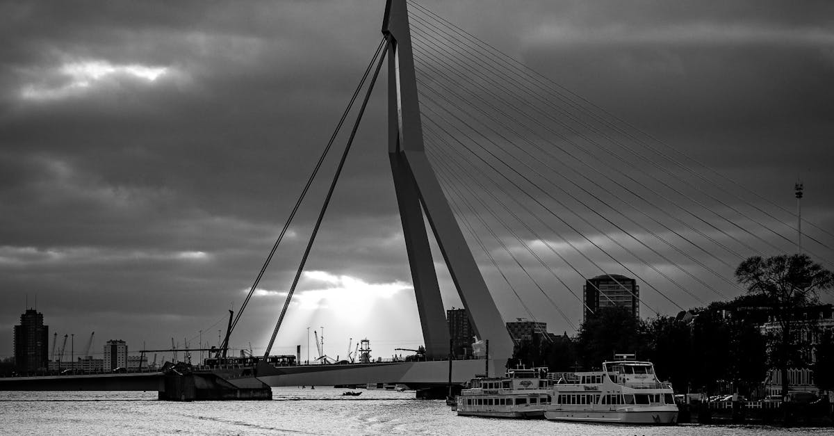 Culture and Etiquette in the Dutch Business Setting