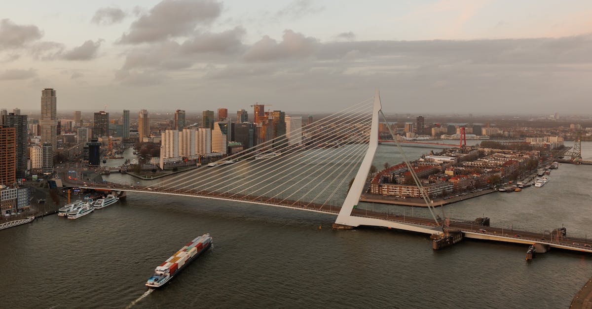 Discovering Dutch Through Online Language Exchange
