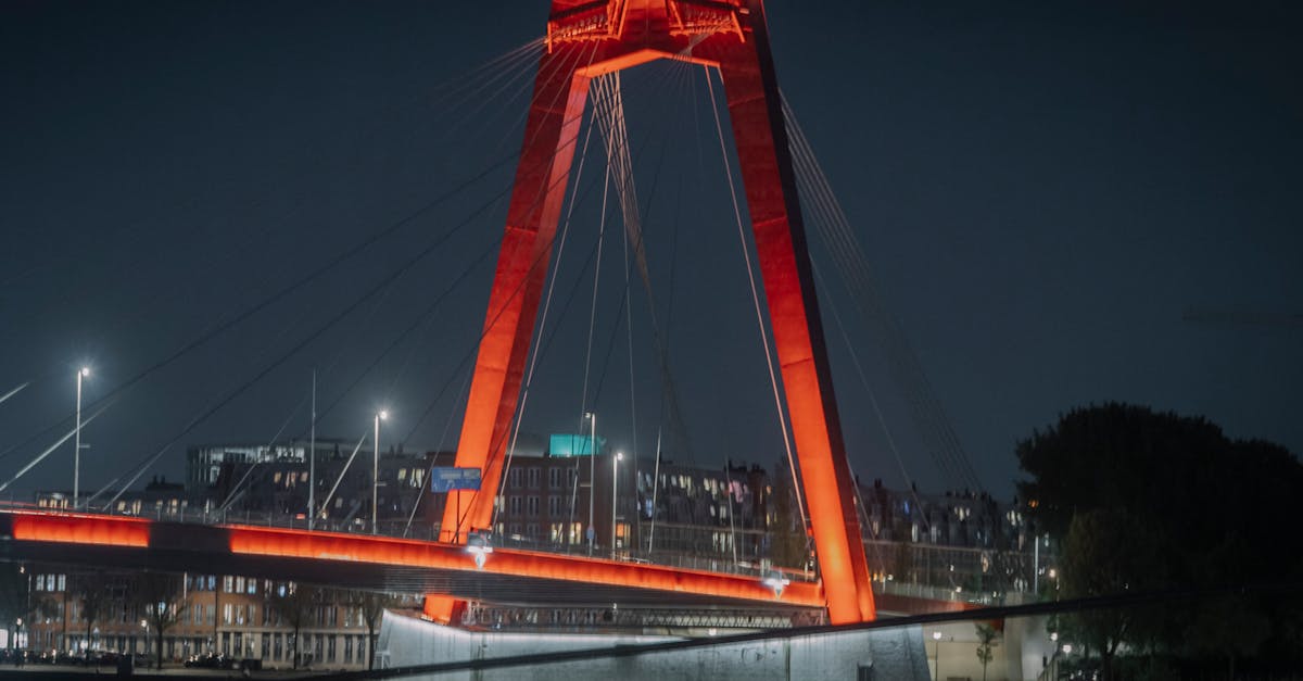 Engaging Dutch Classes for Families in Rotterdam
