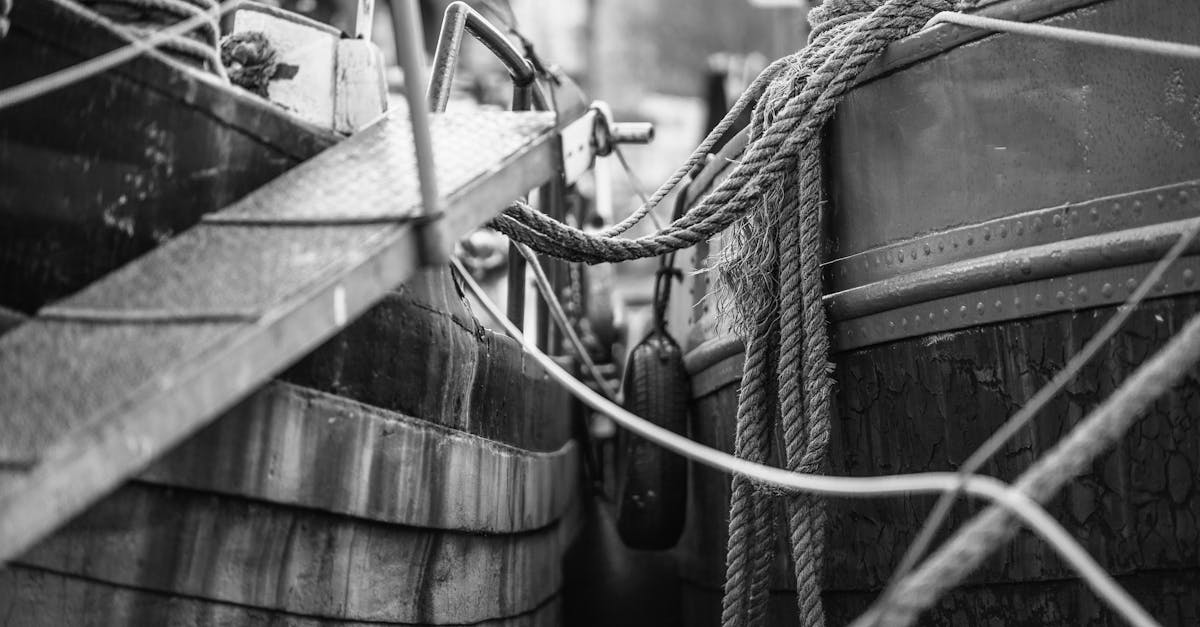 Engaging in Dutch Conversations: Join a Local Group in Rotterdam