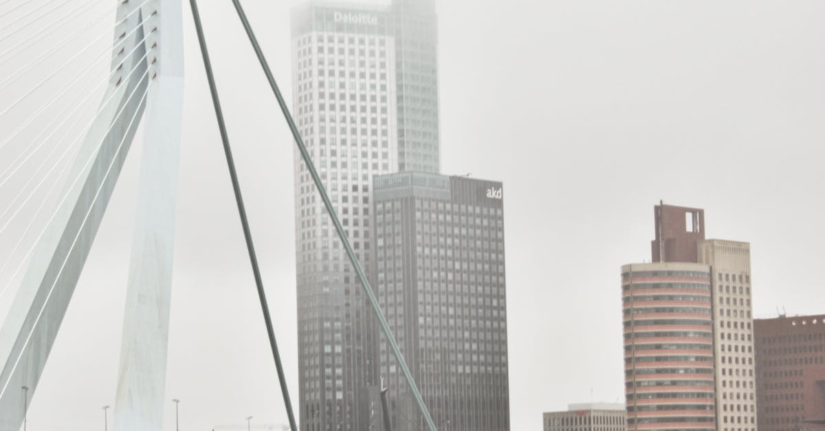Enhancing Language Skills for the Dutch Business Environment