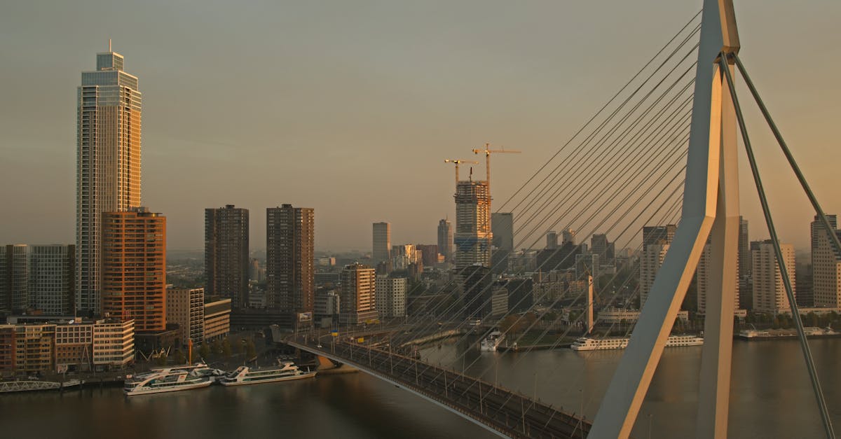 Essential Tools for Effective Virtual Dutch Language Learning