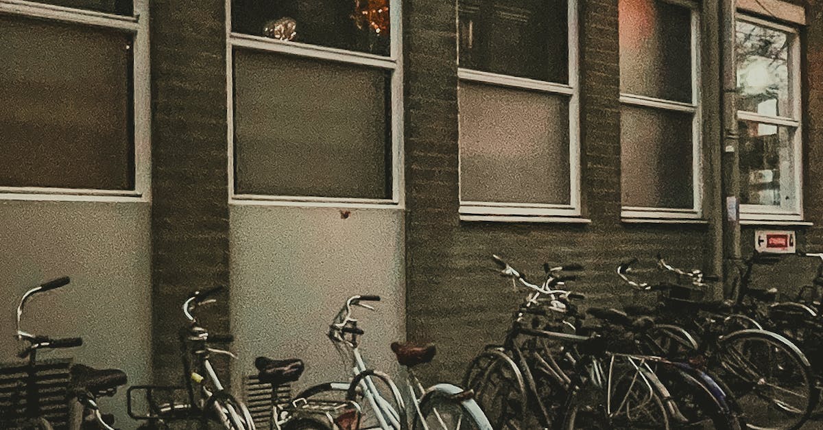 Exploring Rotterdam Through Beginner-Friendly Dutch Lessons