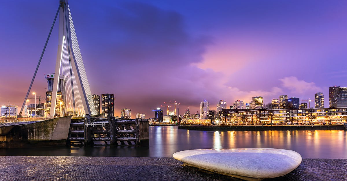 Exploring the Most Effective Online Resources for Dutch