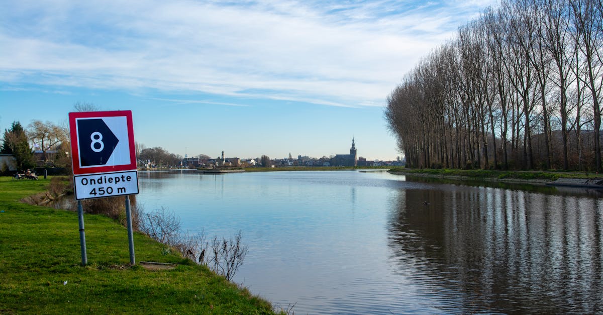 How to Choose the Right Tutor for Online Dutch Lessons