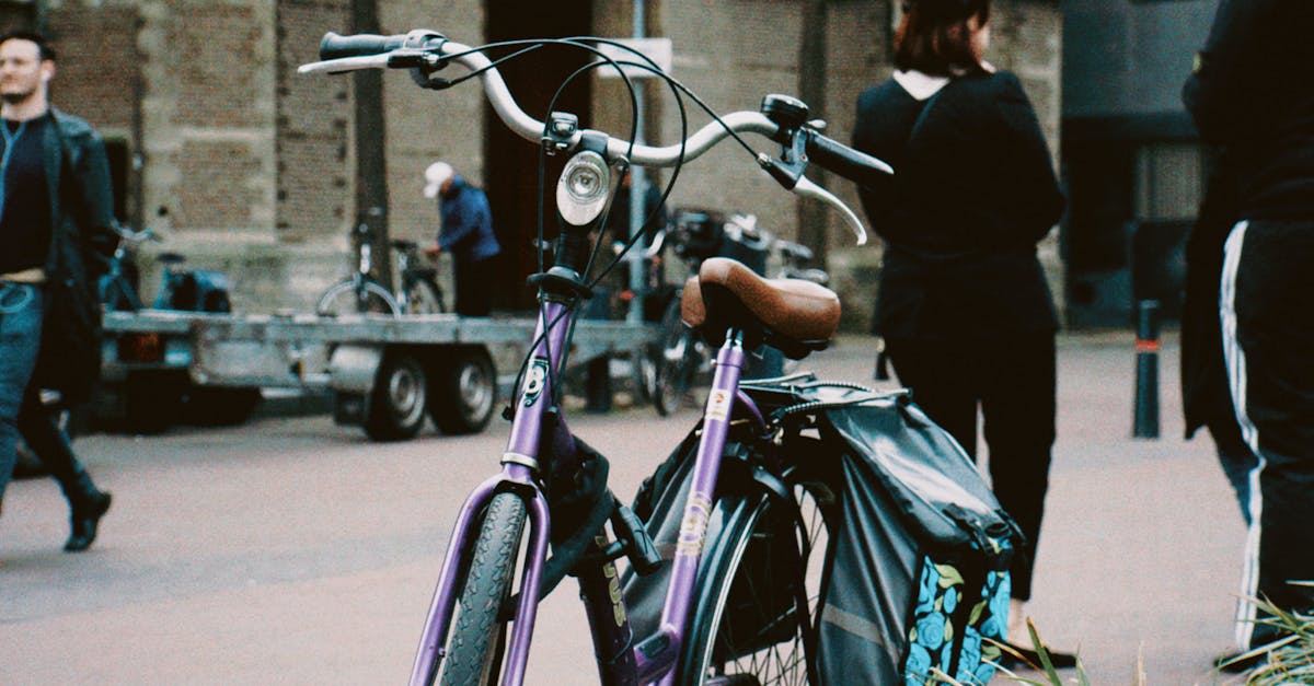 How to Enhance Your Dutch Skills with Virtual Conversations