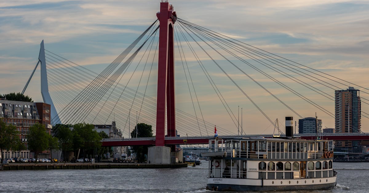 How to Make the Most of Community Language Exchanges in Rotterdam