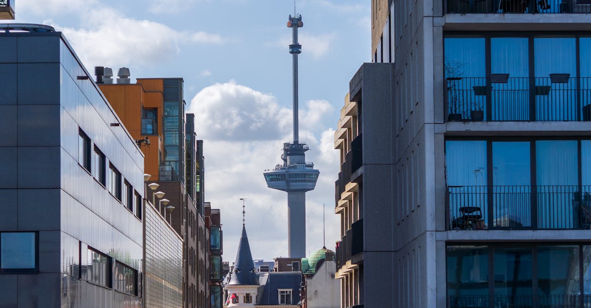 Incorporating Cultural Insights into Private Dutch Lessons