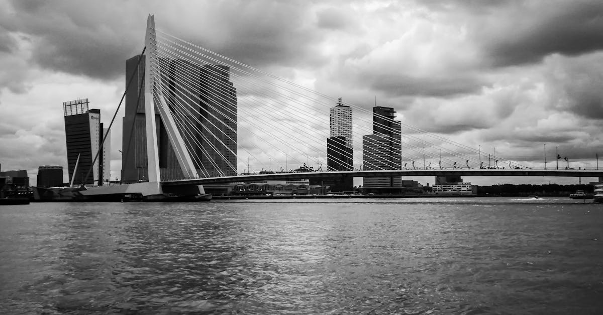 Mastering Business Communication in Dutch: A Local Approach