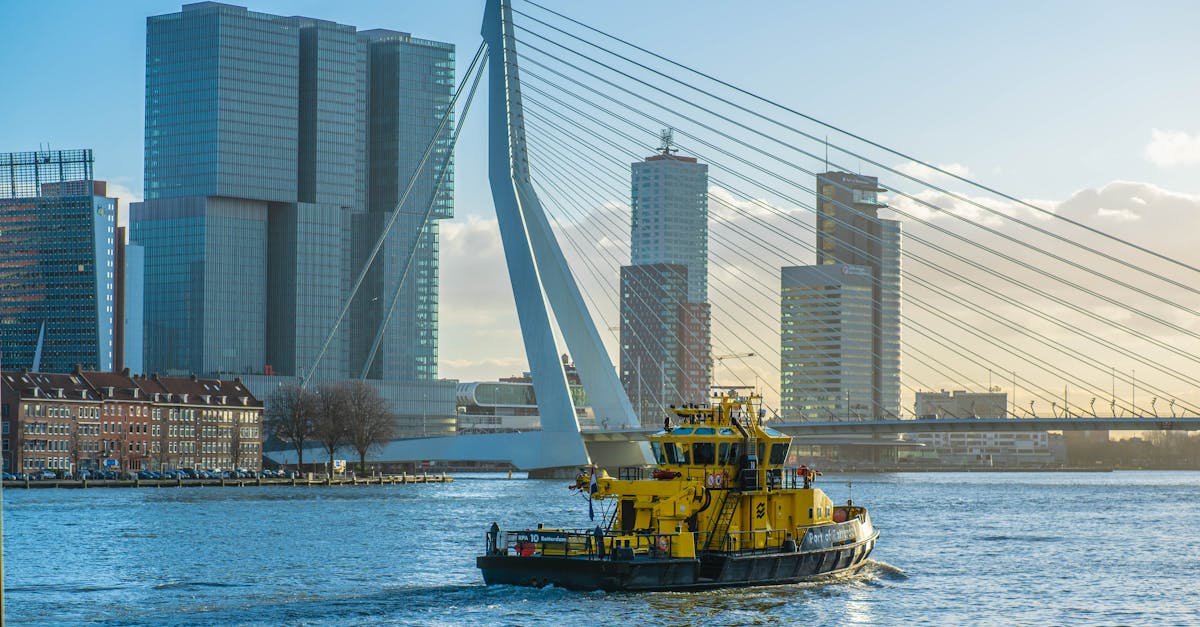 Navigating Cultural Differences in Dutch-Language Exchanges