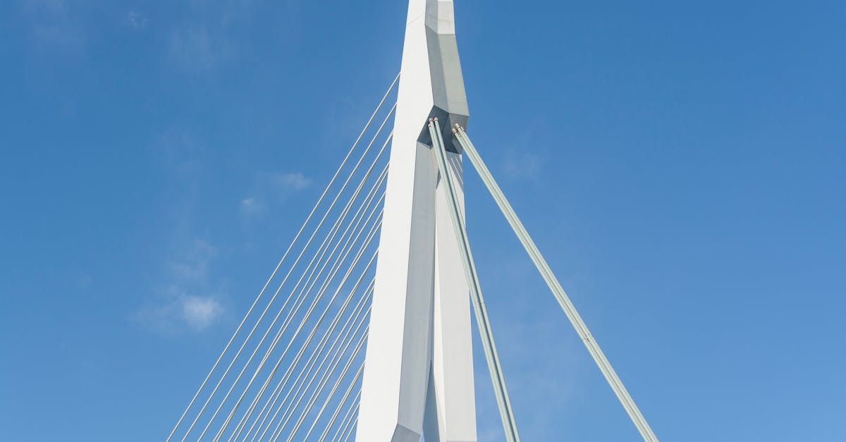 Navigating Dutch Dialects: Understanding Regional Variations