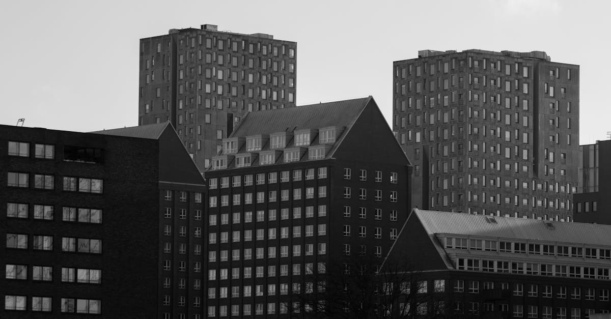 Networking in Dutch: Classes Designed for Career Growth