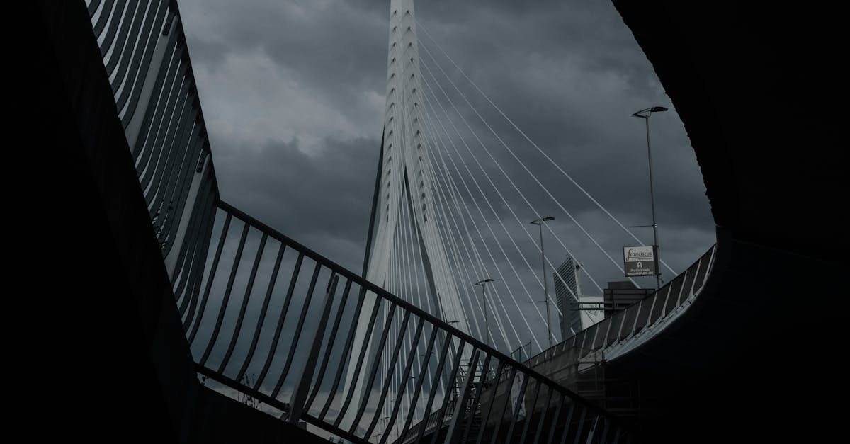 Networking Through Dutch: Socializing While Learning