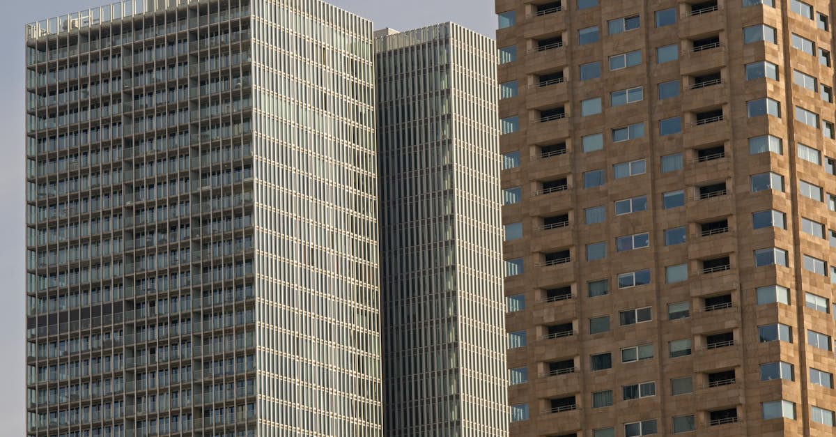 Online Platforms for Connecting with Rotterdam's Dutch Learners