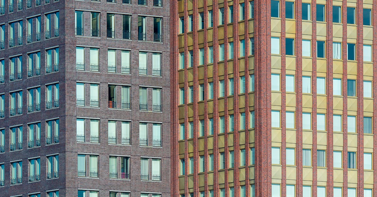 Tailoring Your Virtual Group Experience in Dutch Language Learning