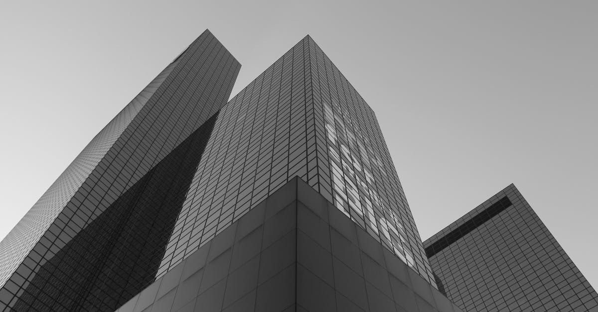 The Role of Mobile Apps in Learning Dutch in Rotterdam
