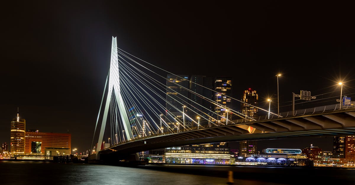 Top Features to Look for in Dutch Language Learning Websites