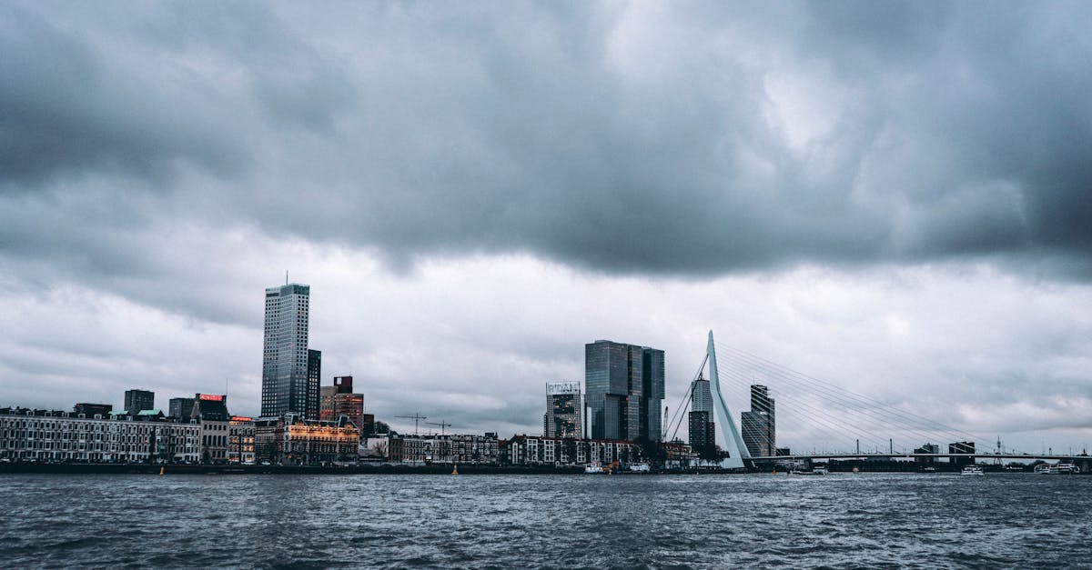 Top Tools for Practicing Dutch Vocabulary on the Go