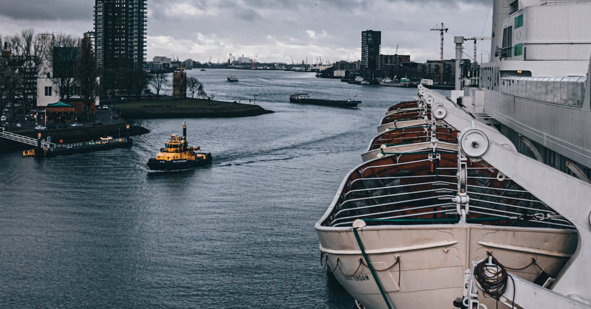 Top YouTube Channels to Boost Your Dutch Language Skills