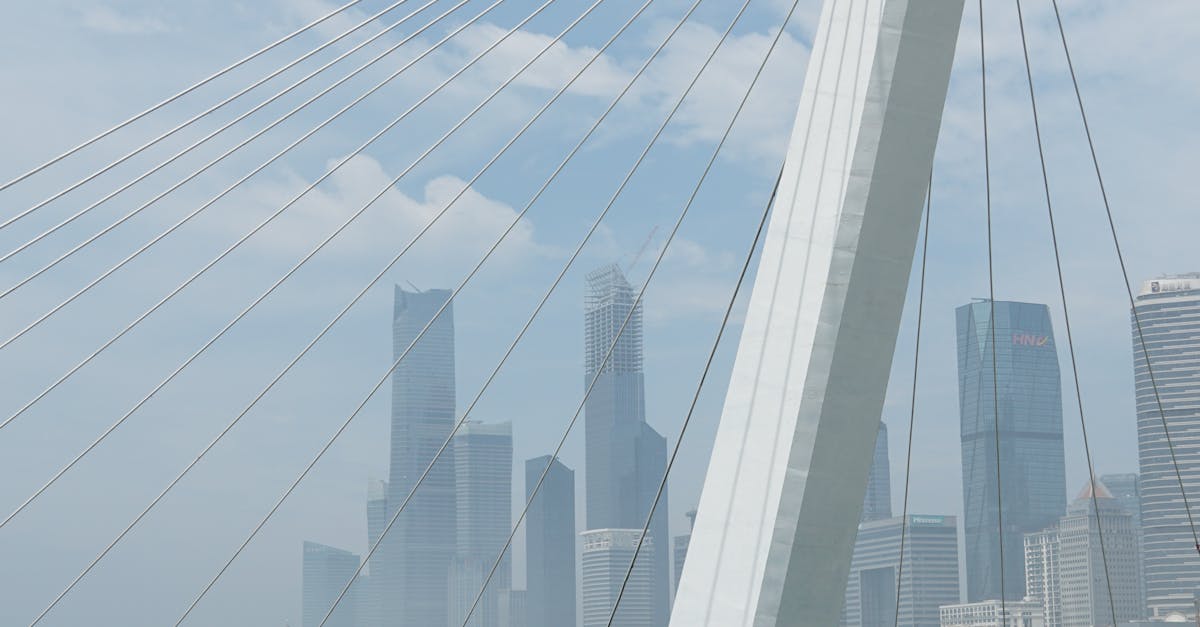 User-Friendly Websites for Interactive Dutch Lessons